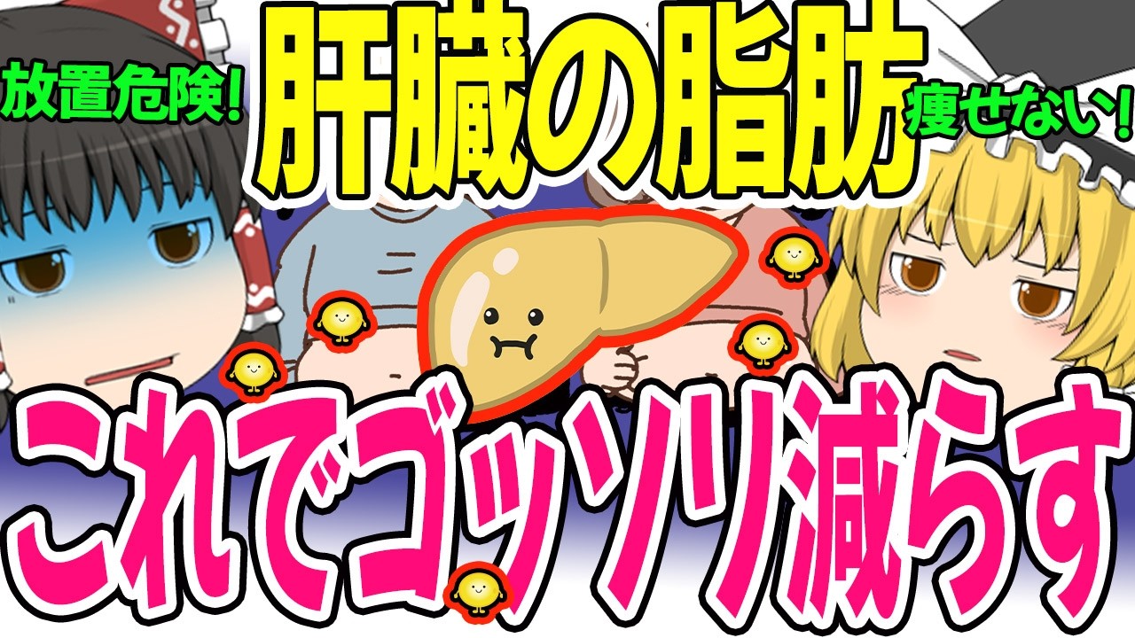 【脂肪肝】痩せない原因！脂肪肝の人、これ食べないと損してます！脂肪がみるみる減ってくる食事法【ゆっくり解説】