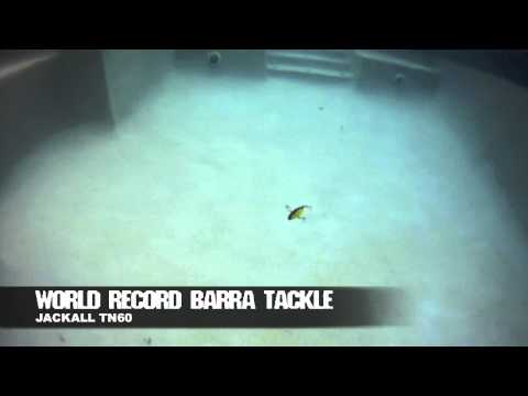 Jackall TN50 Disk Knocker 52mm 9.5g Cystal Banana S