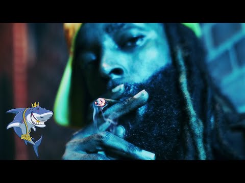 2684 Millie - "Paycut" Prod. By Gonja808 (Official Music Video)