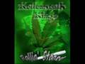 kottonmouth kings-crucial