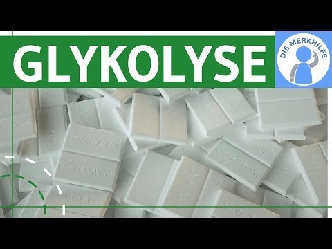 Glycolysis simply explained - Process, phases, properties - Metabolism & degradation - Cellular r...
