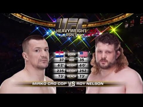Mirko Cro Cop vs Roy Nelson