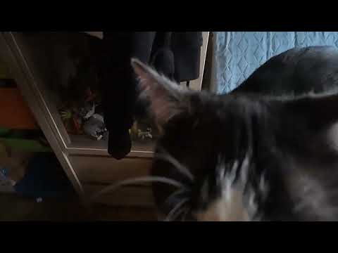 Mała przekąska ;-) rola główna Jasio i Malgosia