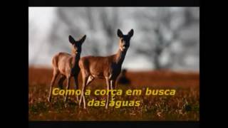 Download lagu toque no altar correndo pros teus braços playback legendado mp3