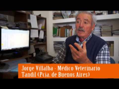 Entrevista Jorge Villalba