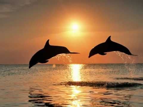 Richard Clayderman ~ Fur Elise