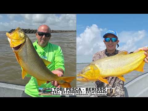 DELPESCADORTV633. DORADOS EN BELLA VISTA. VARIADA EN SAN BLAS