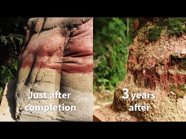 Living rammed earth wall