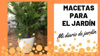 La Petunia Multiflora Como Reproducirlas Con éxito Mi - 