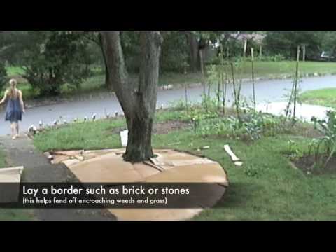 How to Sheet Mulch Your Garden - YouTube