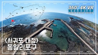 동일리포구