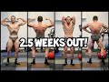 Jacob McDonald Bodybuilding Posing Practice with IFBB Pro Steve Orton at 2.5 Weeks Out from NZIFBB!