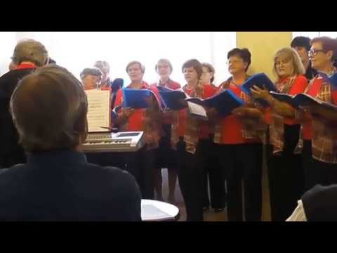 ZVJEZDICE DANICE, Ženski pjevački zbor DANICA