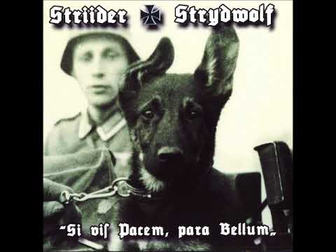 Strydwolf ‎– "Vaandrager"