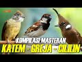 KOMPILASI MASTERAN CILILIN KAPAS TEMBAK GREJA TARUNG AUDIO HD