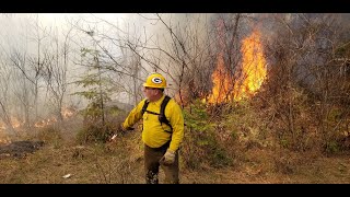 Wildfire and INW Forest Management
