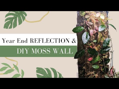 2021 Year End Reflection & DIY MOSS WALL