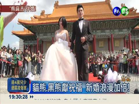 323"閃又閃" 黑白"雙熊"證婚祝福