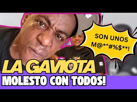 LA GAVIOTA bien molesto con varios en RD y les tira con tó!😱