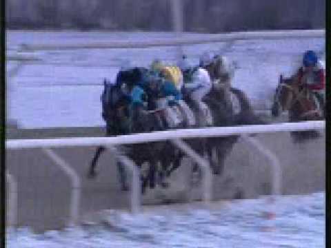 Horse racing in winter