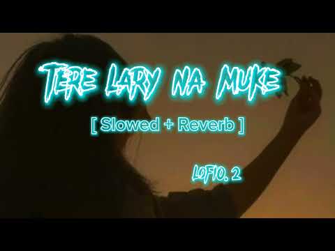 Tere Lary Na Muke | [ Slowed + Reverb ] | Saraiki song | Lofi0.2