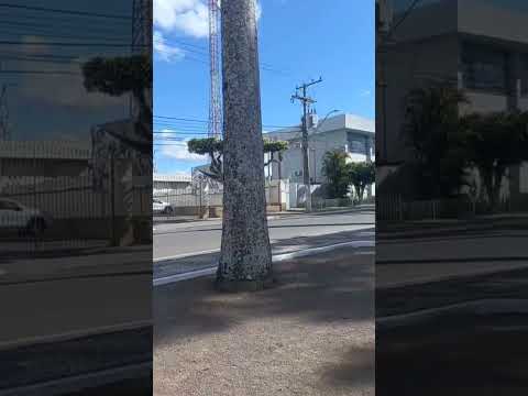 prasa Lourival Monte conhecida como jardim do bosque amargosa Bahia