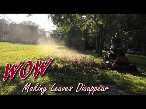 Hurricane Made A Mess | Ferris Z2