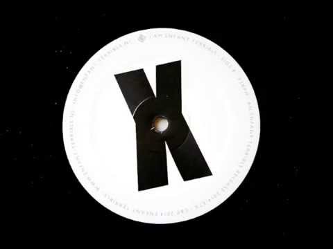 Neugeborene Nachtmusik - The Undaunted Traveller