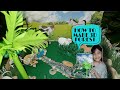 HOW TO MAKE 3D FOREST ACTIVITY FIVE IN SCIENCE JANDI WAP
