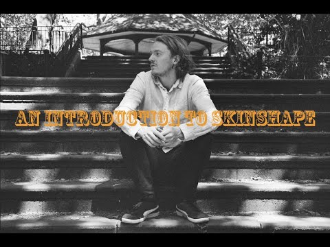 An Introduction To Skinshape (best of)