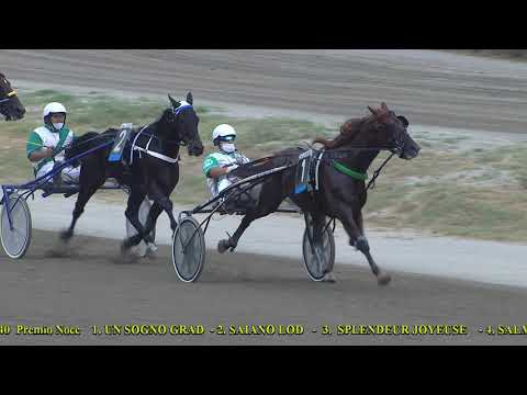 IV Corsa   Premio Noce del 23 Giugno 2021   Cat  F