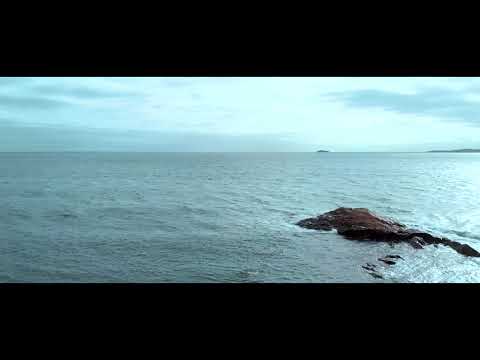 DJI Mavic Air Drone Video - Lynn Shore Drive