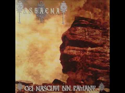 Ashaena   Cei Născuţi Din Pământ   Gruia lui Novac