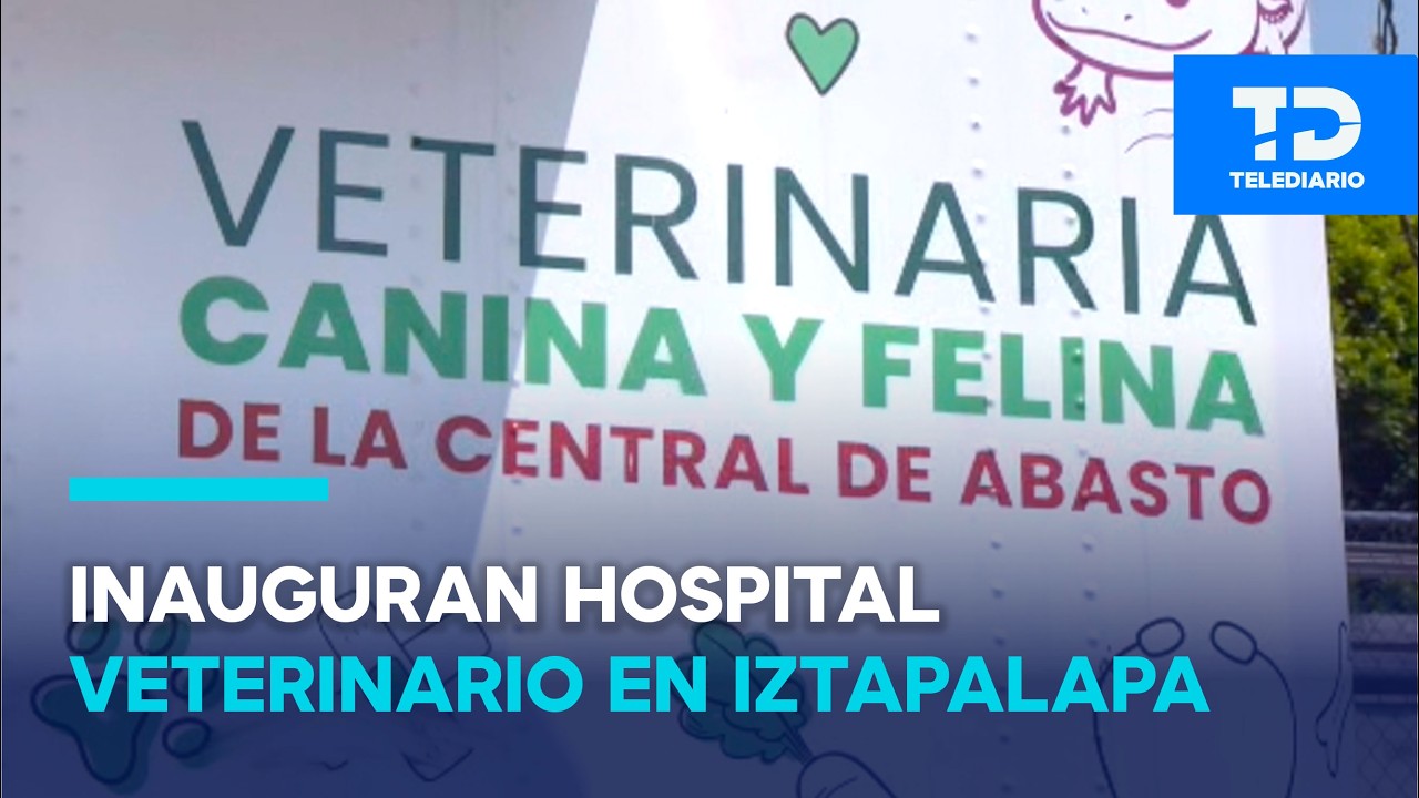 Central de Abasto inaugura hospital veterinario para cuidar a perros y gatos