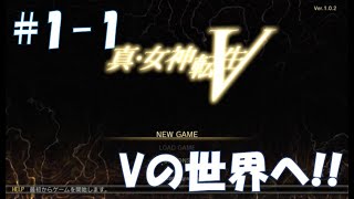 【ネタバレ有】超絶ひっそり真・女神転生Ⅴ_Part1-1【実況】