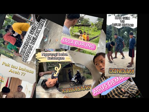 THE BEST VIDEO COLLECTION PART II