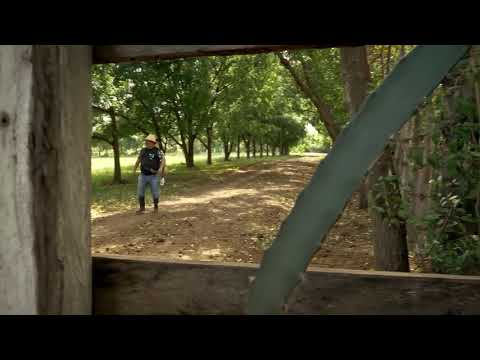 Agapito Diaz y el genio de la lámpara maravillosa