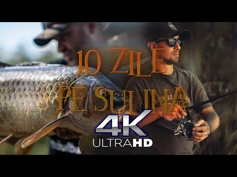 10 Zile pe Sulina | 4K | Record la crap in Delta Dunarii + prezentare in detaliu monturi