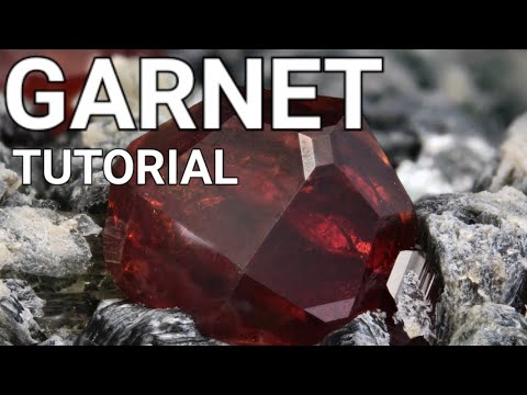 Garnet Tutorial