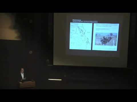 ピーター・ジョセフ - 社会病理学 (Peter Joseph - Social Pathology)