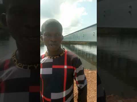 The most expensive and longest bridge in Sierra Leone 🇸🇱 #irepsalone #irepsalonemedia #sierraleone