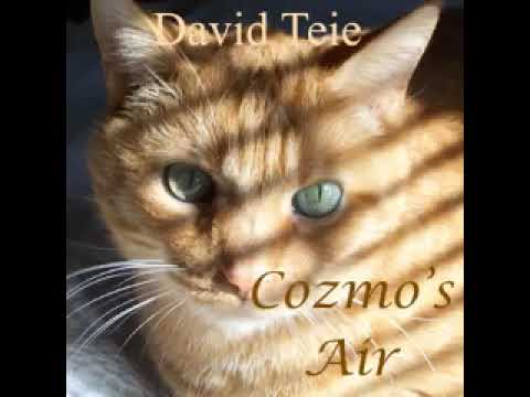 Cozmo's Air - 10 hours of Relaxing Music for Cats - 10 horas de Música relaxante para gatos