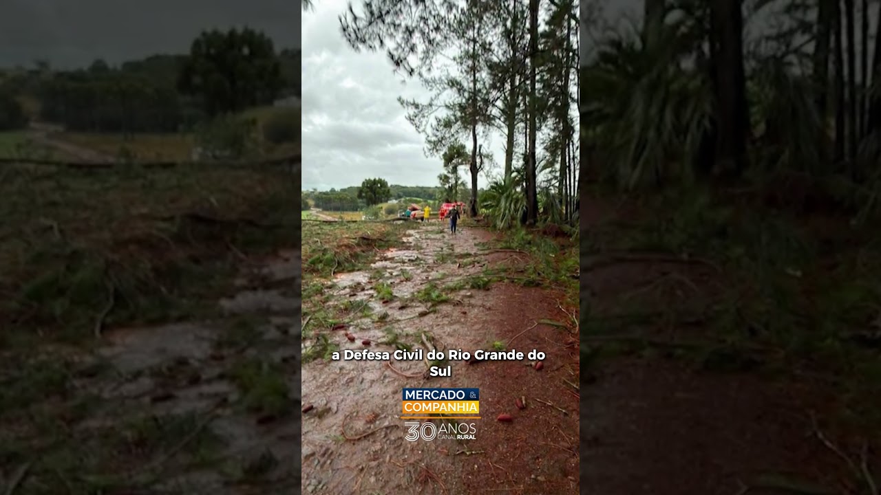 Chuvas intensas fazem Rio Uruguai subir e geram risco de inundação no RS