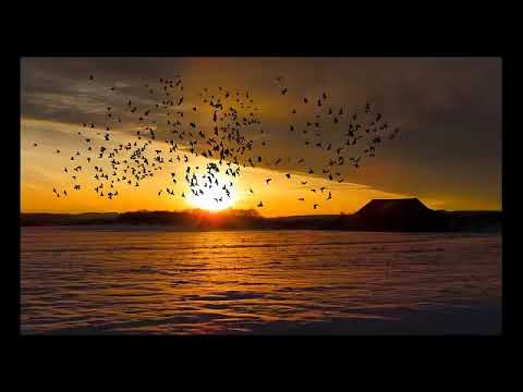 RO Daisy Escalante 04 04 2019 Oameni demonizati, mutanti