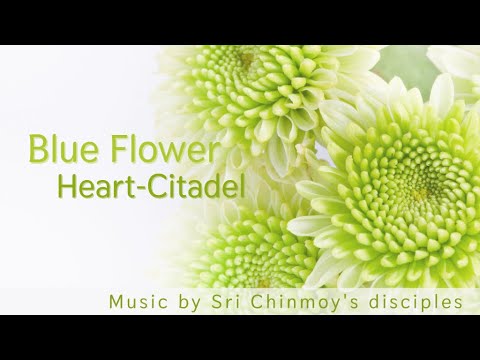 Floare Albastră - Inimă-Cetate | Sri Chinmoy | Muzică spirituală | Muzică de meditație