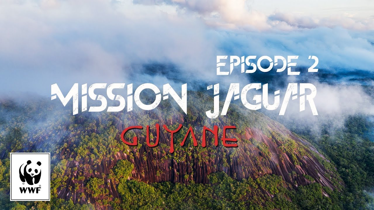 Mission jaguar Guyane - Épisode 2