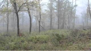 preview picture of video 'Lot 18 Desert Rd, Snow Shoe, PA 16874'