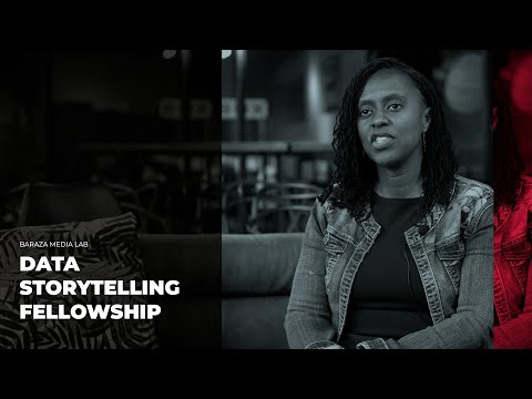 Data Storytelling Fellowship interview