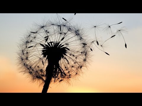 [HD] Melodic Trance in the Mix ♫ (Episode 012)