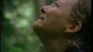 EarthFirst Mourning Loss of a Tree - Crying &amp; Screaming